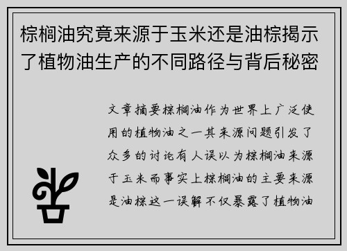 棕榈油究竟来源于玉米还是油棕揭示了植物油生产的不同路径与背后秘密
