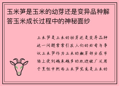 玉米笋是玉米的幼芽还是变异品种解答玉米成长过程中的神秘面纱